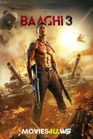 Baaghi 3